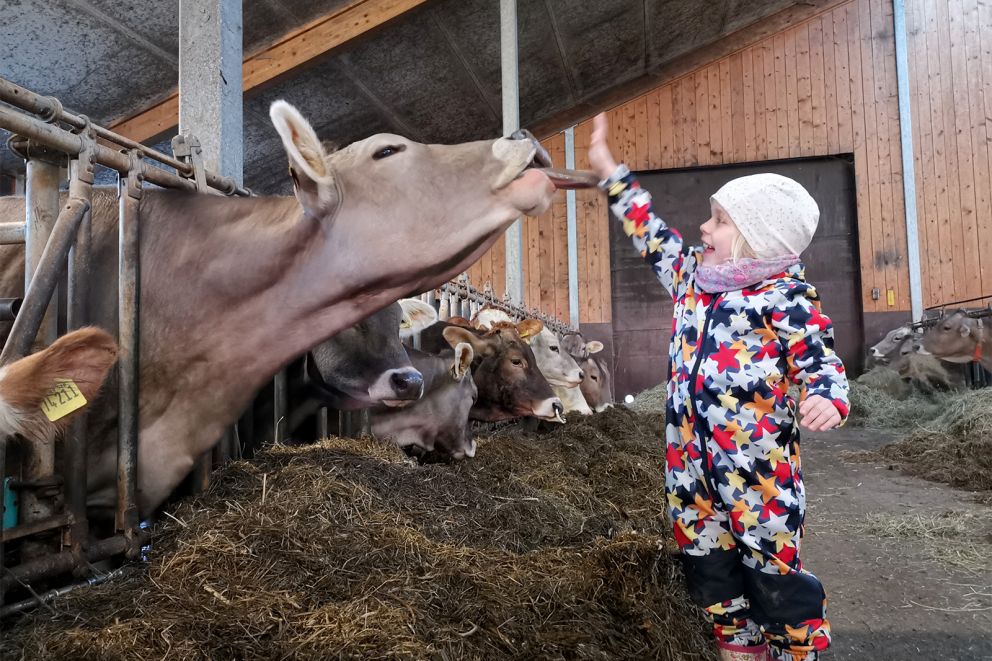 Biohof Stadler, Unterthingau im Allgäu